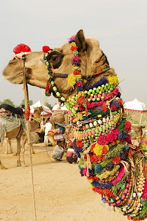 Pushkar ka mela