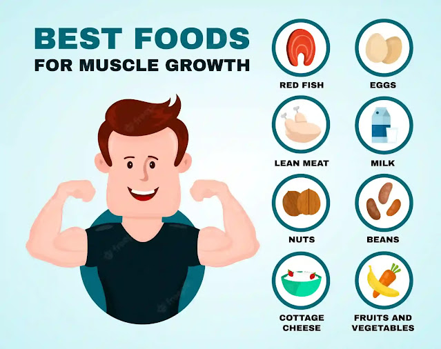 best foods for muscle growth and lose weight