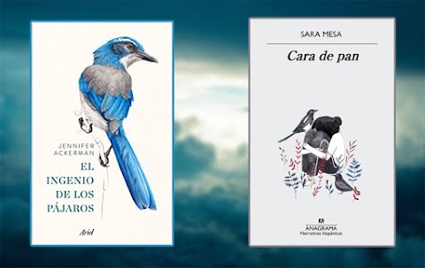 2 libros con pájaros