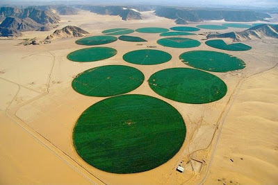 Campos irrigados artificialmente, Jordânia