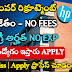 HP Financial Analyst Jobs | Latest Jobs In Telugu