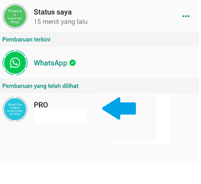 Cara Menyembunyikan Status  WA  dari Orang Lain Berhasil 