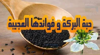 حبة البركة و فوائدها، الحبة السوداء و فوائدها، فوائد حبة البركة، فوائد الحبة السوداء، استخدامات الحبة السوداء، ماهي حبة البركة، ماهي الحبة السوداء، فوائد حبة البركة على الجسم، الكمون الأسود، الشونيز المزروع، الكزبرة الرومانية، الكراوية السوداء، القزحة، شونياز، السانوج ,fawa2id habat albaraka,habat albaraka, alhaba sawdae, al7aba sawda,