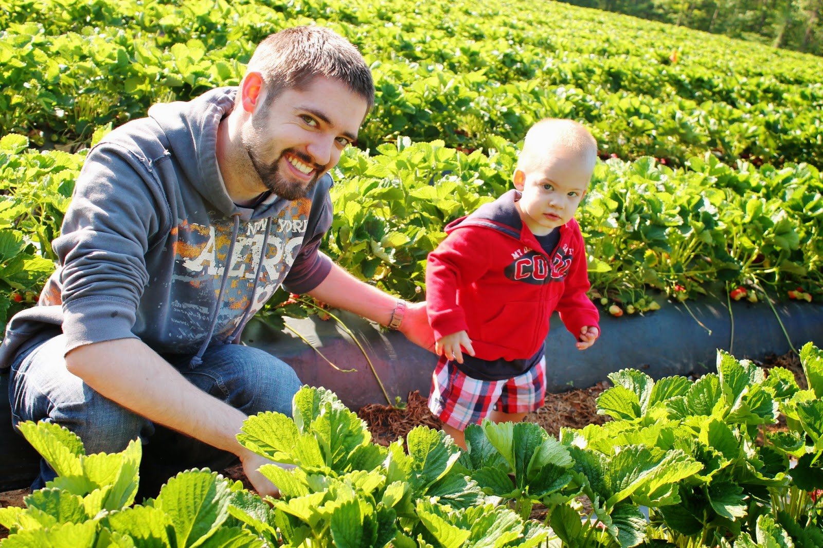 Buckwheat Farm Apex NC