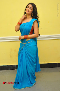 Telugu Actress Vaibhavi Stills in Blue Saree at Www.Meena Bazaar Movie Opening  0111.JPG