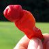 Pimenta PETER ou PENIS PEPPER