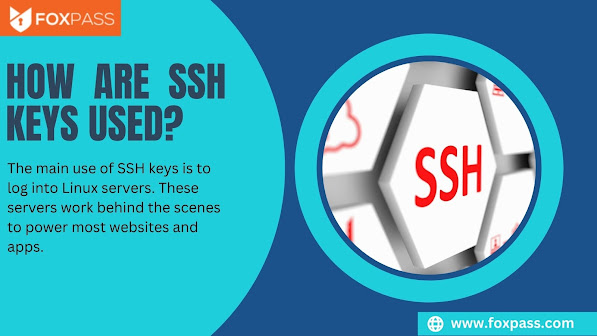 SSH Key Management