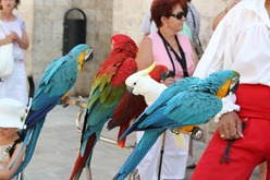 IMG_7379