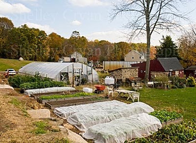 new england farm autumn foliage