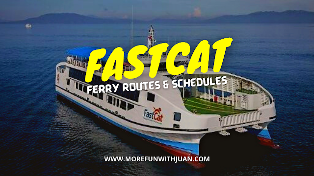 fast cat ferry fast cat contact number fast cat online booking fast cat schedule fast cat matnog fast cat rates fast cat schedule 2022 fast cat requirements