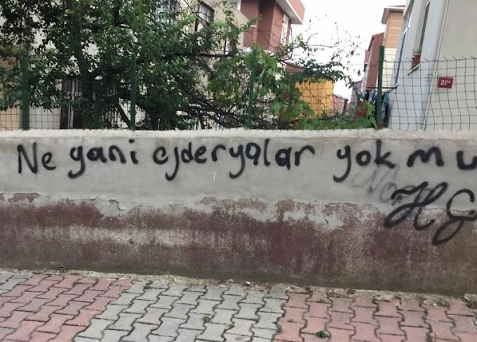 ne yani ejderhalar yok mu?