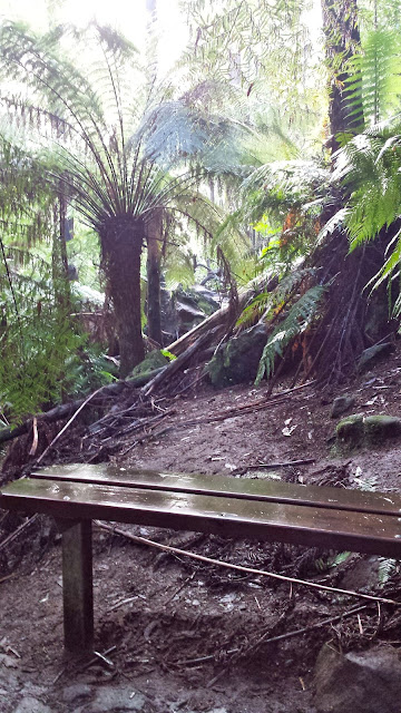 La La Falls, Warburton 