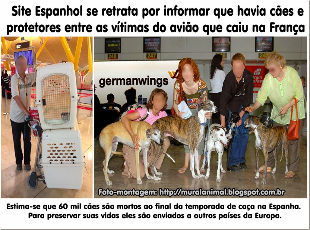 dog_germanwings