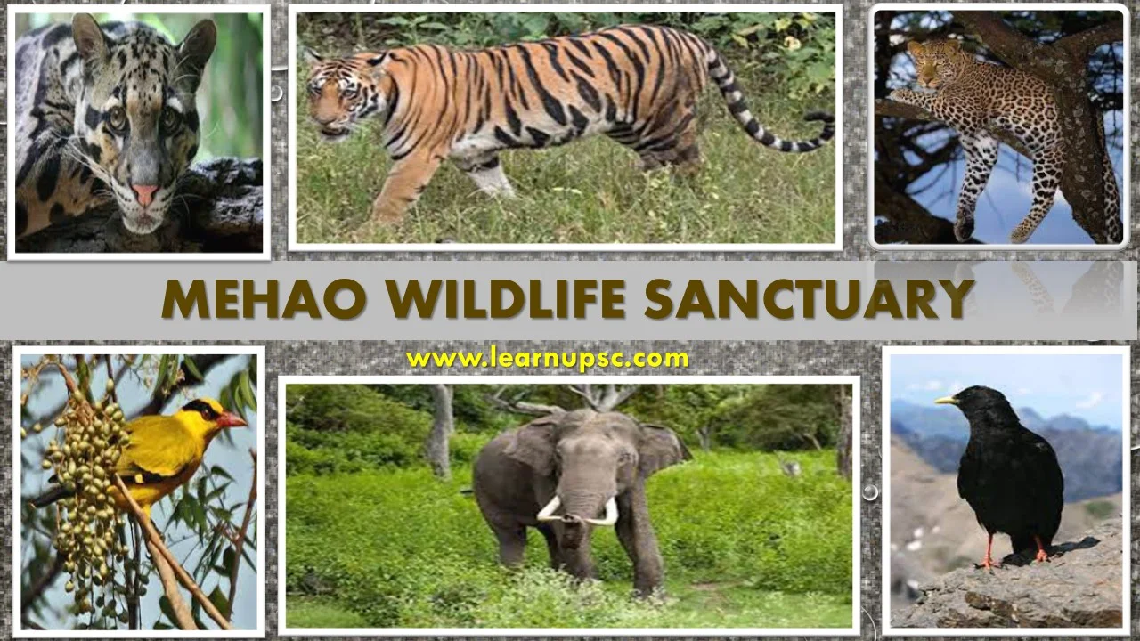 Mehao Wildlife Sanctuary