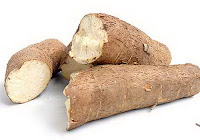 Cassava-Manihot-esculenta