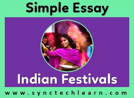 essay on indian festival in english