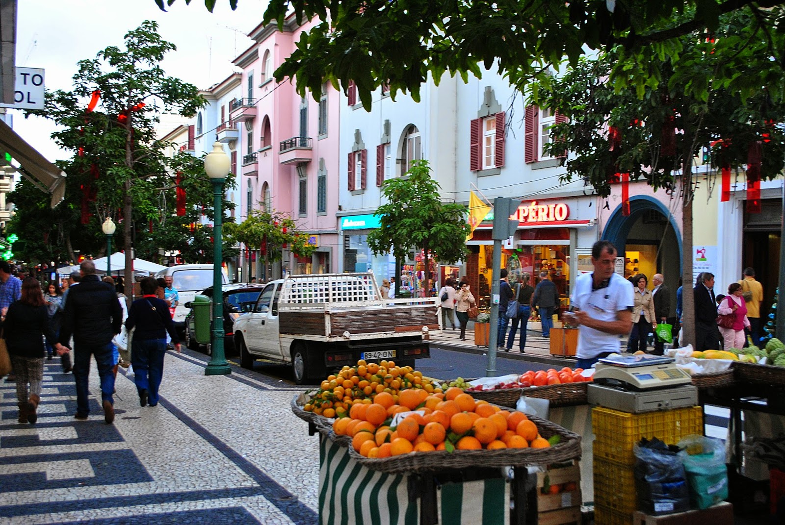 FUNCHAL - MADERA GRUDZIEŃ 204