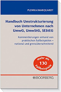 Handbuch Umstrukturierung von Unternehmen nach UmwG, UmwStG, SEStEG: Kommentierungen anhand von praktischen Fallbeispielen - national und international