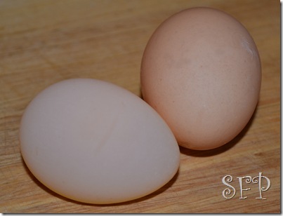 egg without shell, kids playing 025