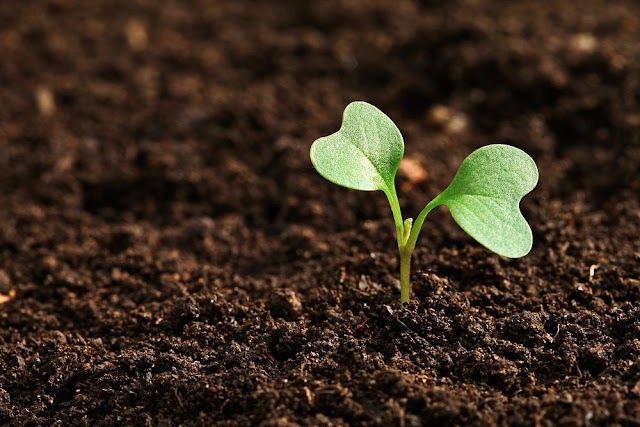 Characteristics of different types of Soil