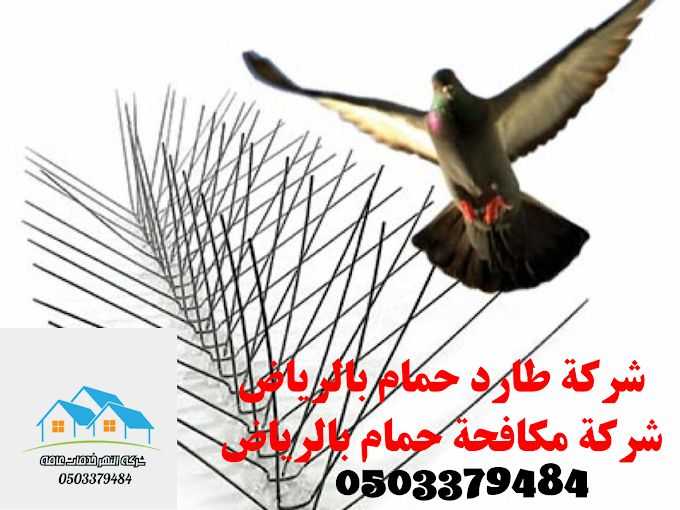 شركة مكافحة الحمام بالرياض 0503379484 طارد الحمام بالرياض