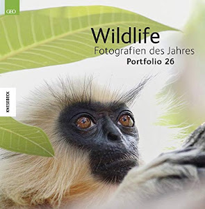 Wildlife Fotografien des Jahres - Portfolio 26