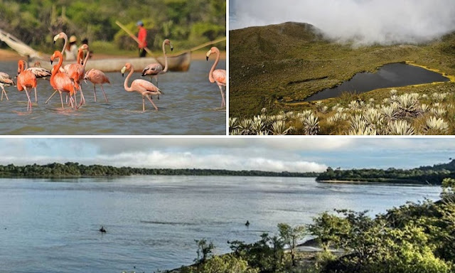 prohibido-plastico-parques-nacionales-naturales-colombia