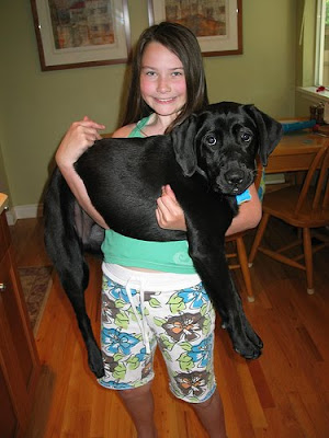 Balck Lab puppy Tulia with raiser Bethany