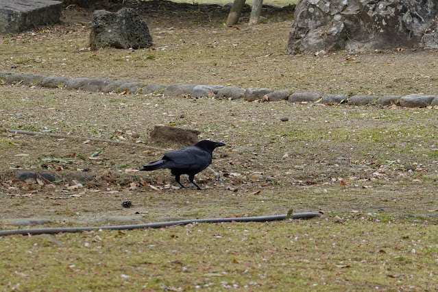 鳥取県米子市久米町　湊山公園