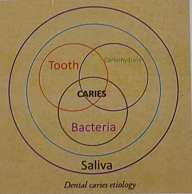 DENTAL CARIES | ETIOLOGY | TEETH | SALIVA | AGENT:- MICROORGANISMS | FUNCTIONS OF DENTAL PLAQUE | SUBSTRATE : FORMENTABLE CARBOHYDRATES .