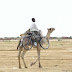 Camel with bike