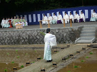 神事「田植祭」は、新田において田植の儀が営まれた