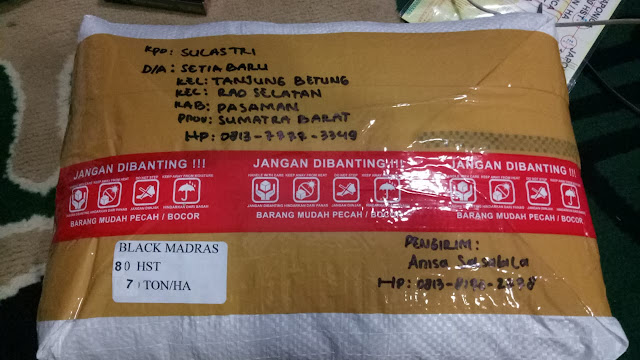 Testimoni Pengiriman Benih Padi Black Madras - 80 HST @5kg