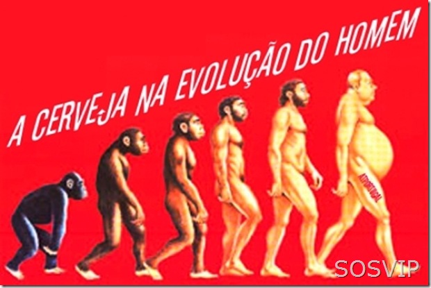 HumorEvolucaoDaCerveja