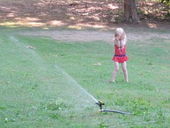 IMG_2117