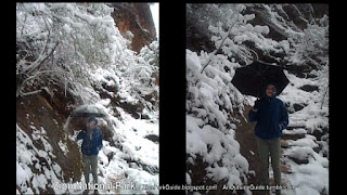 Umbrella in Snow Storm - spring snow - funny snow - making it snow more knocking snow out of trees