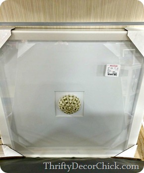 seashell shadow box