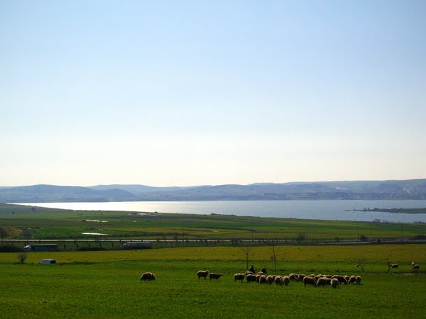 Farmland outside Istanbul.