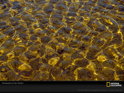 Sunlight and stones on river bottom