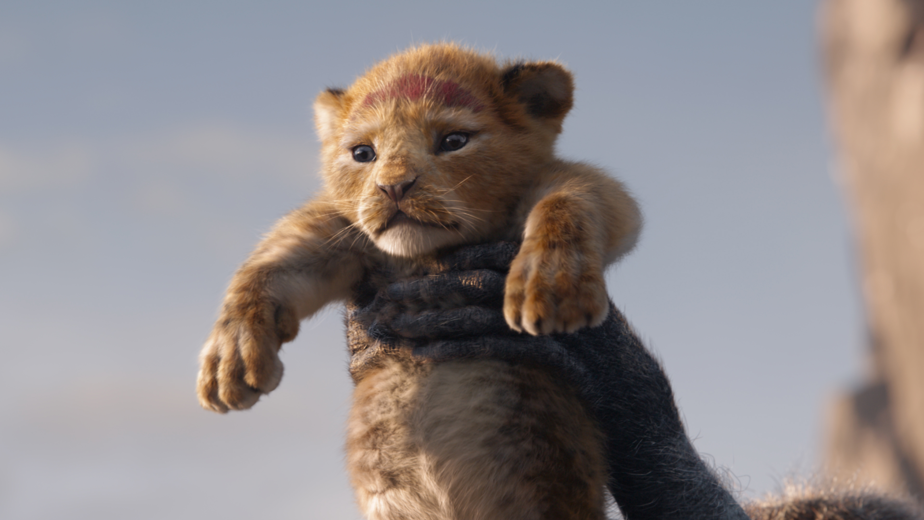 The Lion King 19 Simba 4k Wallpaper 5