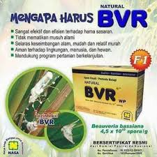 BVR