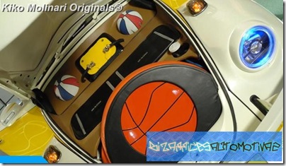 FuscaBall (7)[7]