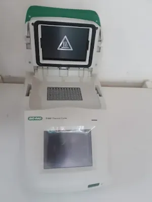 T100 thermal cycler Bio-Rad
