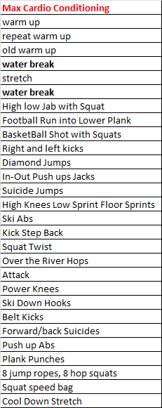 Insanity max cardio conditioning hotsell