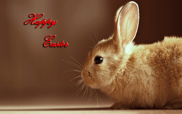 Free Download Easter 2013 HD Wallpapers for Android Tablets