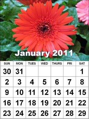 Desktop Wallpaper Calendar January 2011. Calendar 2011 wallpapers.