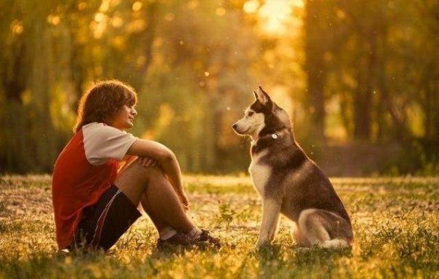 It is quite logical to assume that dogs, like us, do not like this feeling of stress and bad mood. 