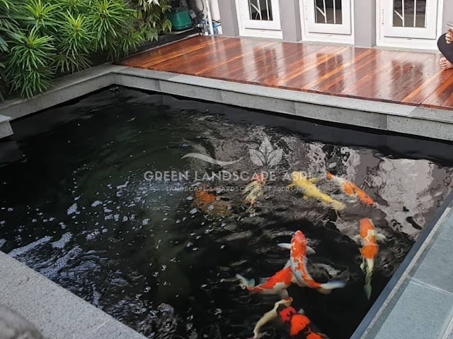 Tukang Kolam Koi Minimalis Sambas - Bikin Kolam Ikan Berkualitas Tukang Kolam Koi Minimalis Sambas - Bikin Kolam Ikan Berkualitas