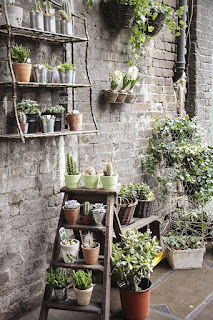 Urban City Succulent Garden ideas  - Photos 