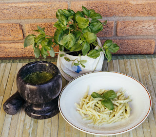 Mortaio in marmo nero con piatto di trofie condite con ricetta originale del vero pesto di basilico alla genovese. Spesso cucinato con le trofie o le trenette fresce.ottimo primo piatto della tradizione italiana.pesto alla genovese e piatto di trofie con pesto